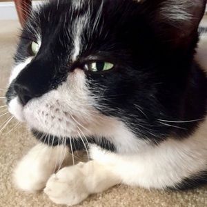 Meet your Posher, Maggie